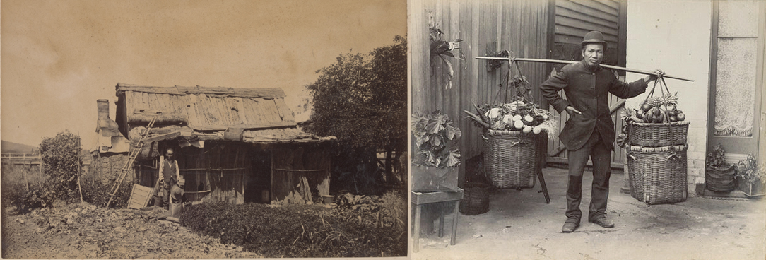 Chinese Market Gardeners in Victoria