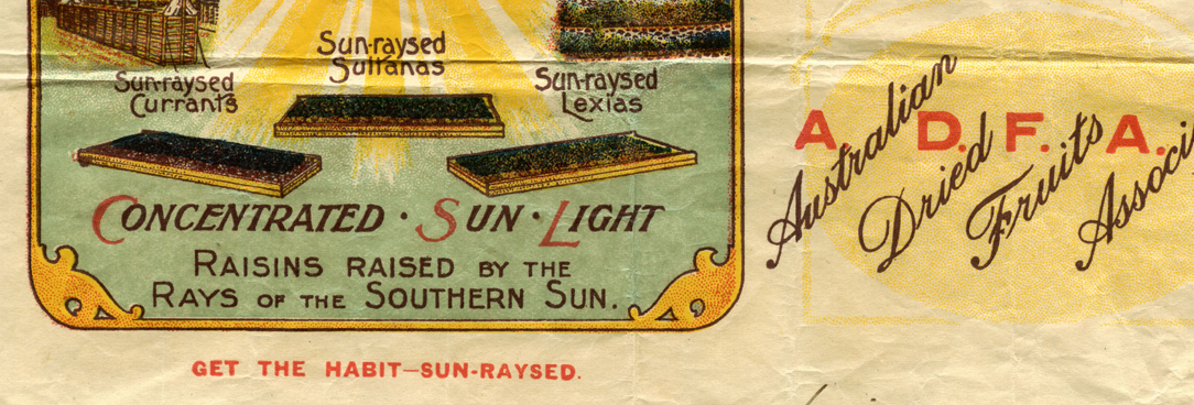 Sun-Raysed Fruits Marketing 1919