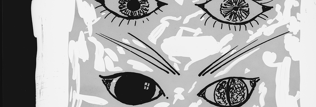 eyes of a cat