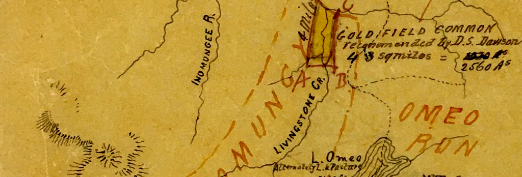 Detail of map of Omeo Commons