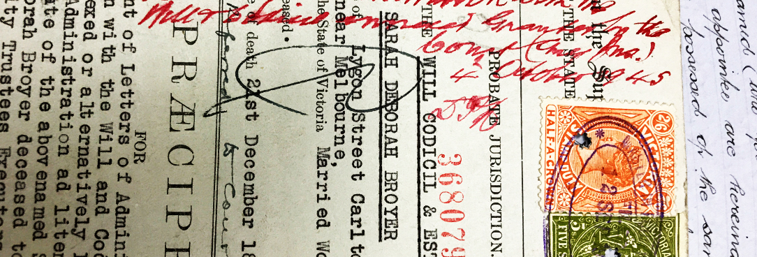 colour photo of a will