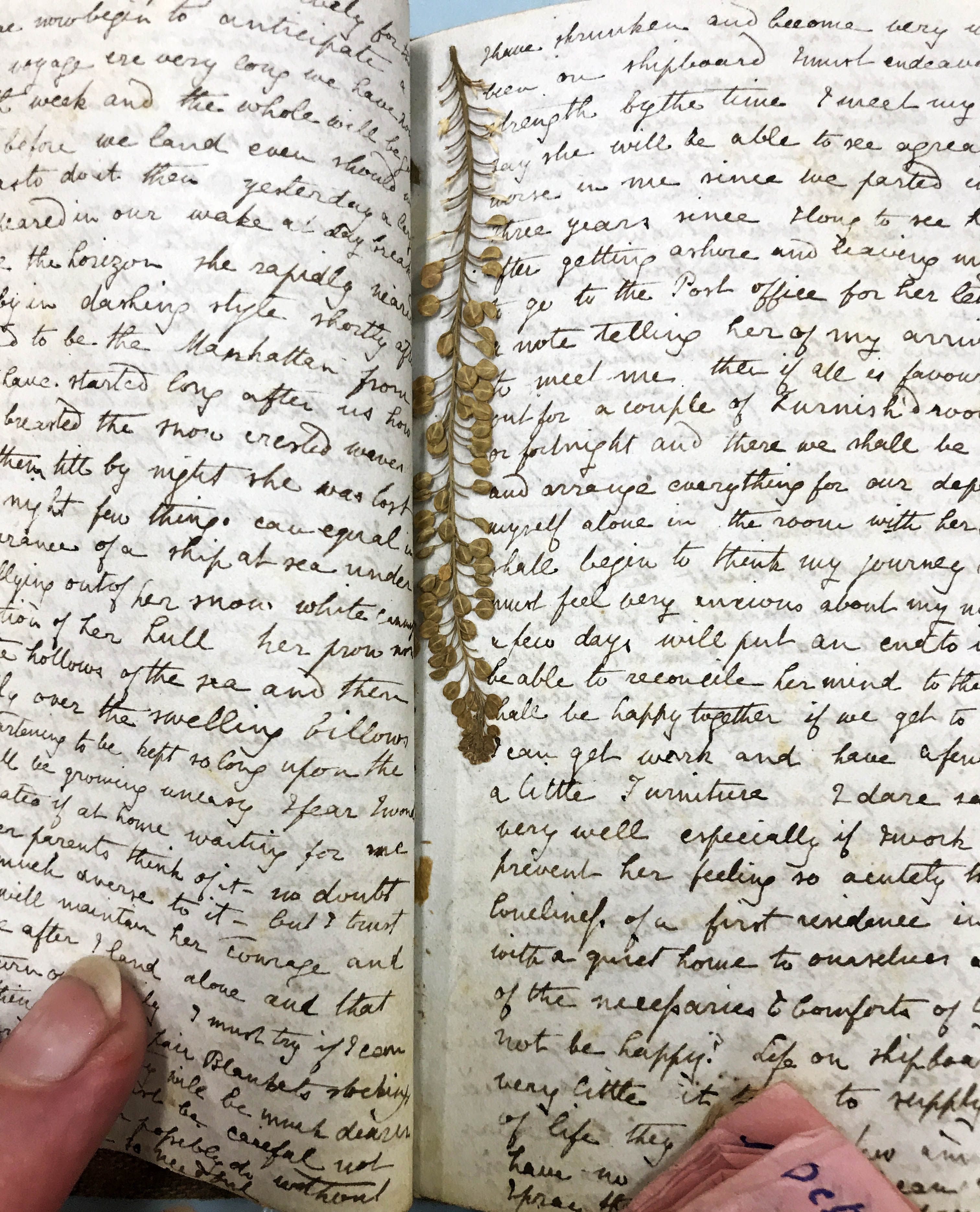 photo of a little notebook with handwritten text and a small pressed flower
