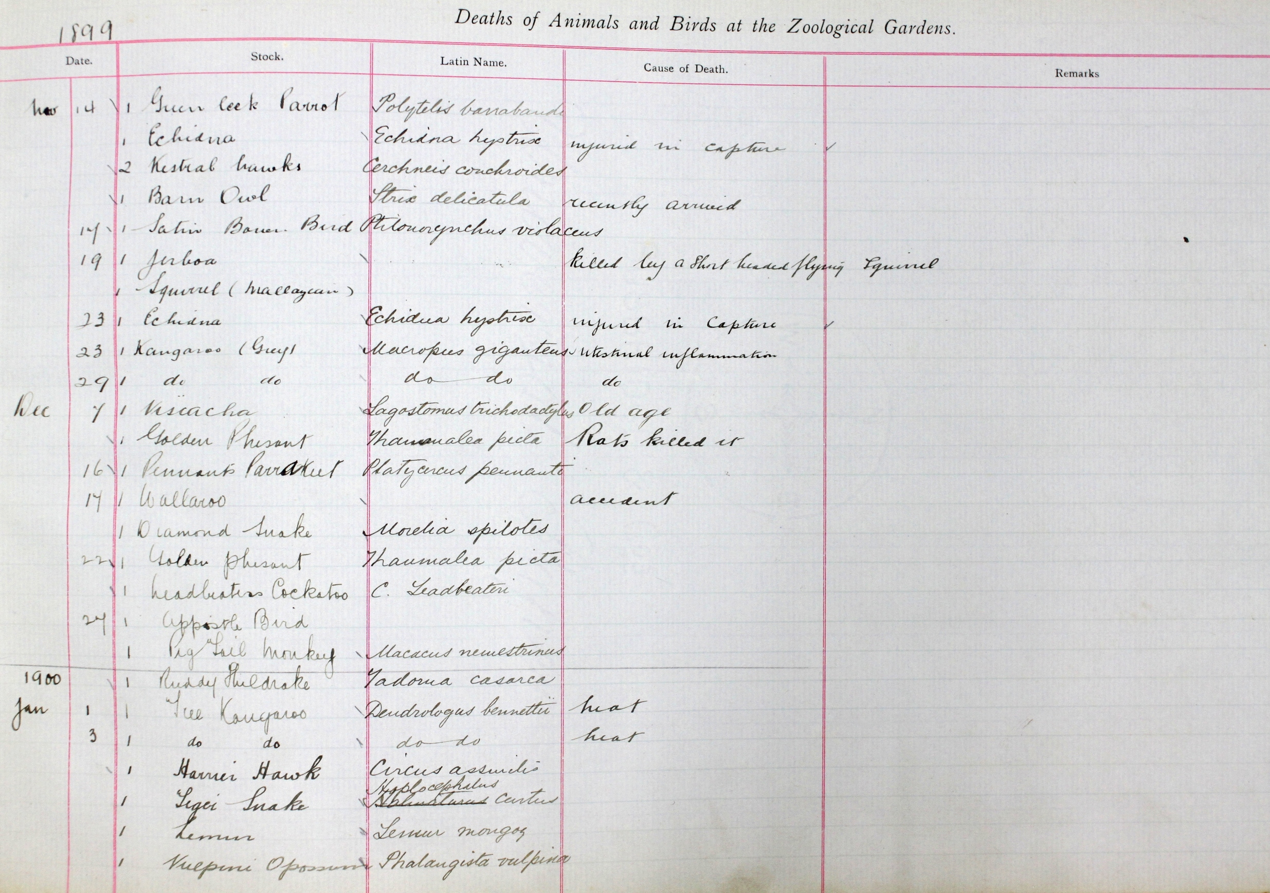 handwritten ledger 