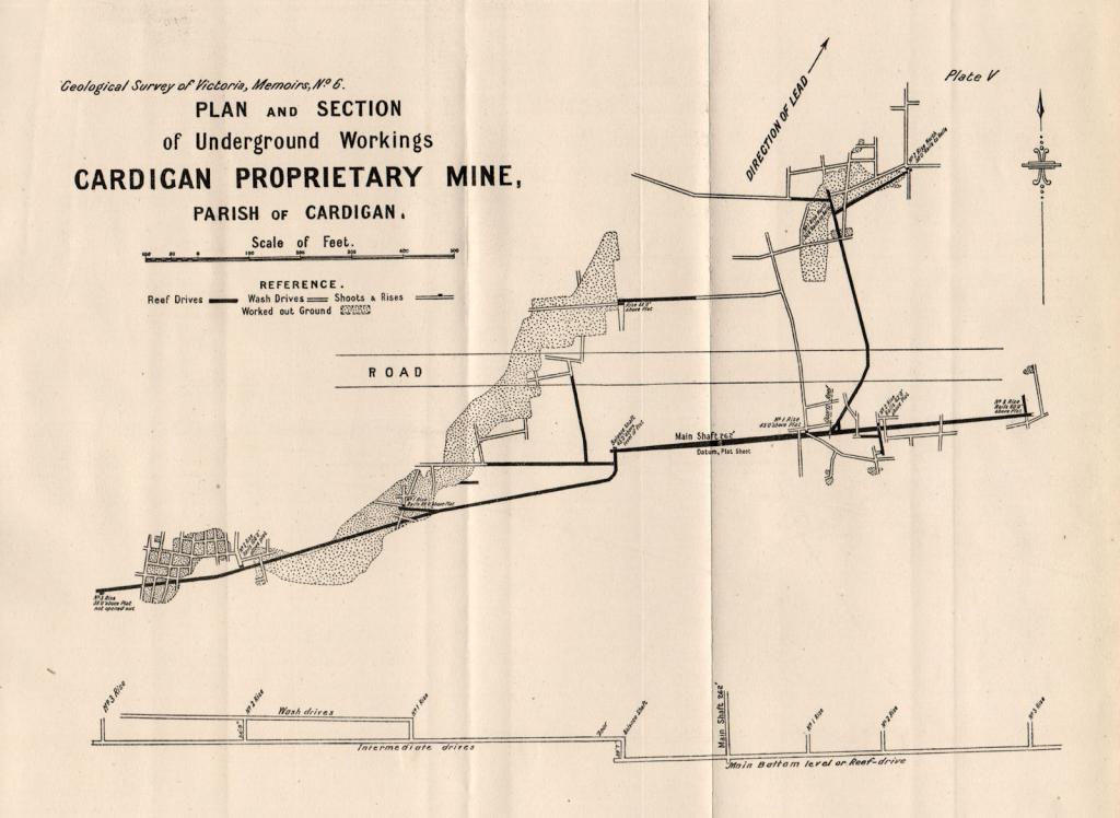 Diagram of the Cardigan Mine