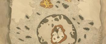 Aboriginal artwork
