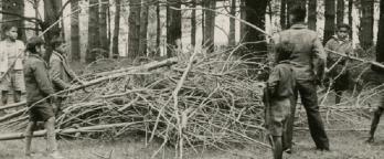 Boys with Sticks Boys with a pile of sticks