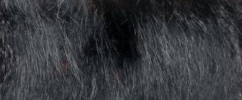 Civil case file VPRS 267 P2 Unit 17 photo of fur hairs