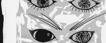 eyes of a cat