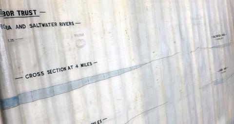 close up of a plan