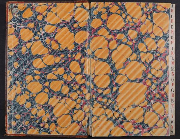 colourful inside pages of the ledger