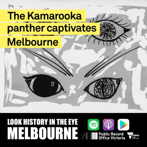 kamarooka panther thumbnail