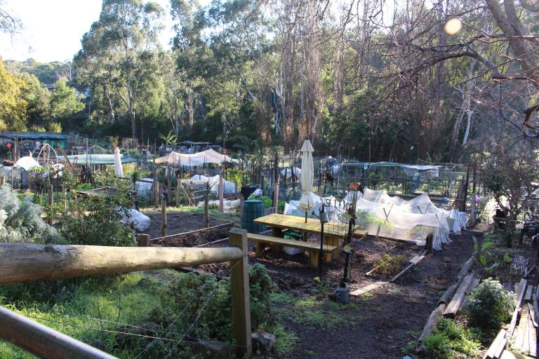 Gardens at CCF